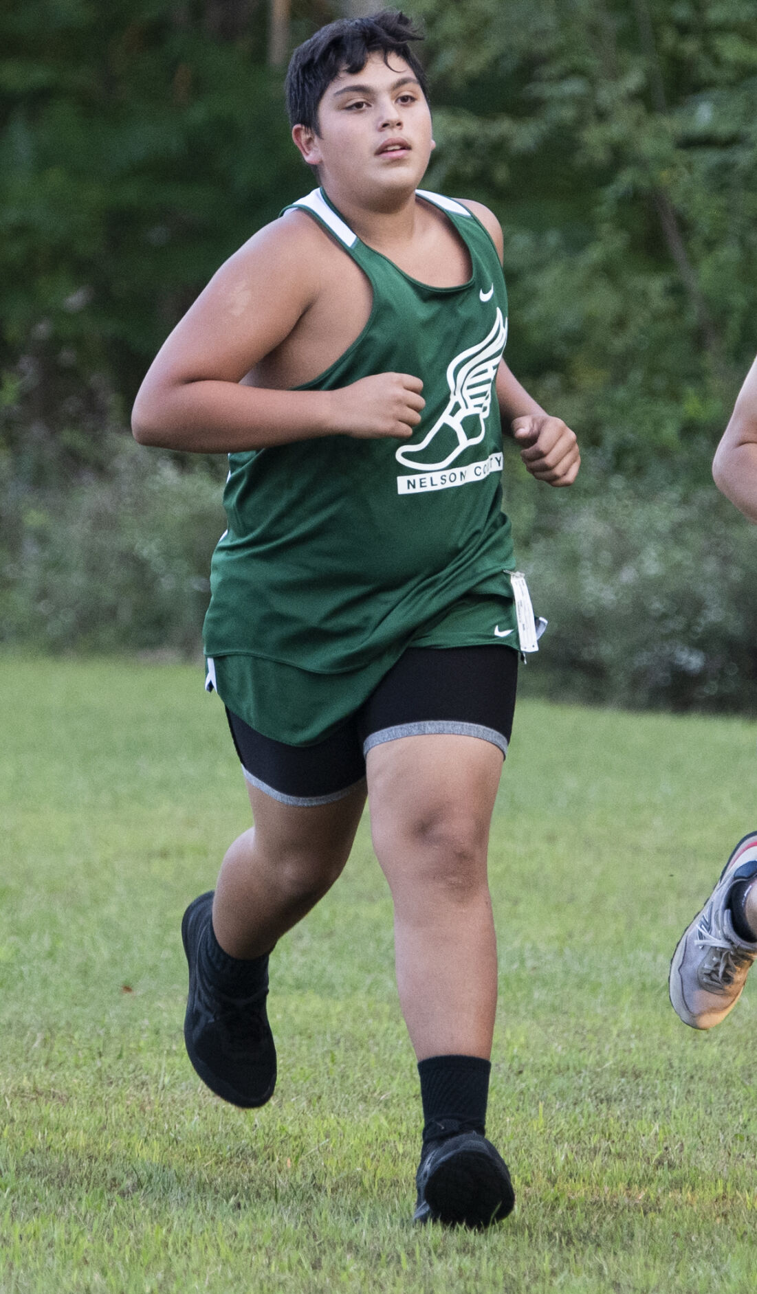 Nelson XC. 2.JPG